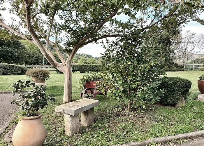 Mentaxuria Mendionde